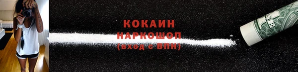стаф Аркадак